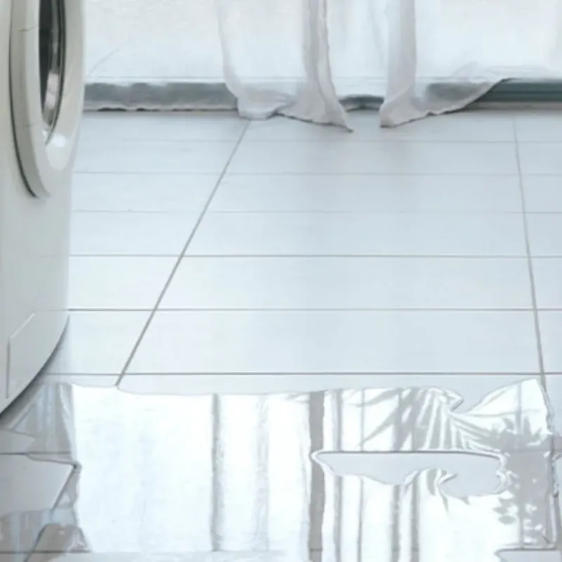 Appliance Leak Cleanup in Citrus City, TX